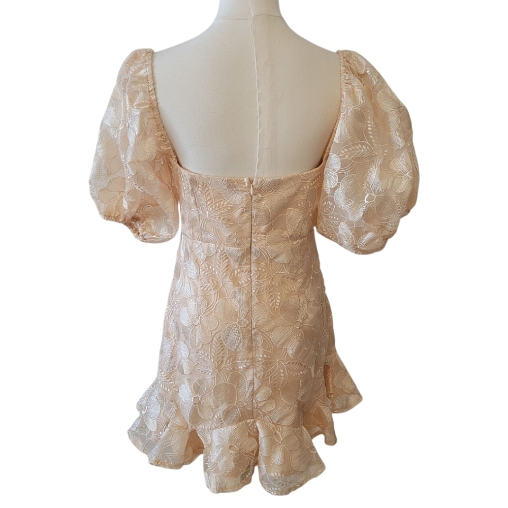 Sage + Paige Clarissa Champagne Lace Mini Dress Size Medium - Picture 5 of 7